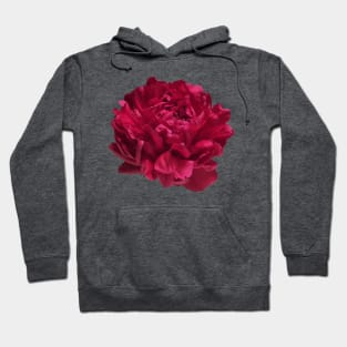 Red Peony Close-up Hoodie